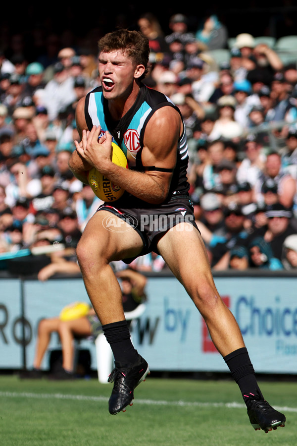 AFL Rd 1 - Port Adelaide v Brisbane - A-911204