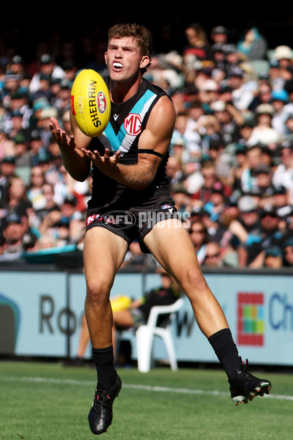 AFL Rd 1 - Port Adelaide v Brisbane - A-911988