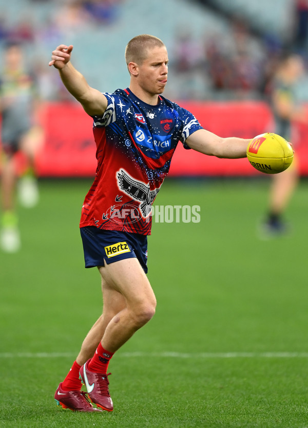 AFL Rd 1 - Melbourne v Western Bulldogs - A-914126