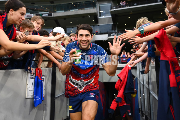 AFL Rd 1 - Melbourne v Western Bulldogs - A-914817