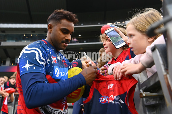 AFL Rd 1 - Melbourne v Western Bulldogs - A-916993