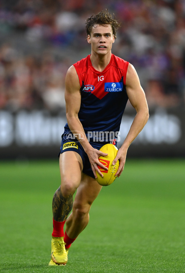 AFL Rd 1 - Melbourne v Western Bulldogs - A-917045