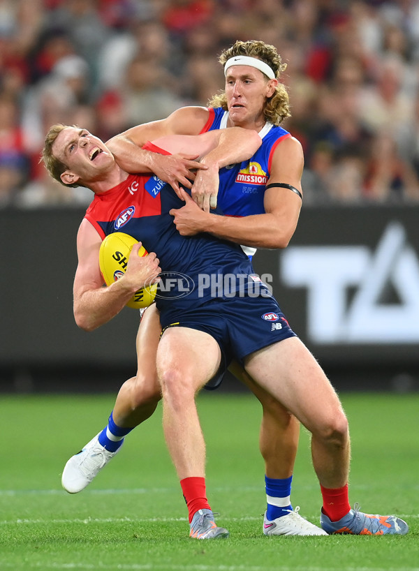 AFL Rd 1 - Melbourne v Western Bulldogs - A-917059