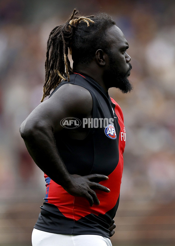 AFL Rd 1 - Hawthorn v Essendon - A-937079