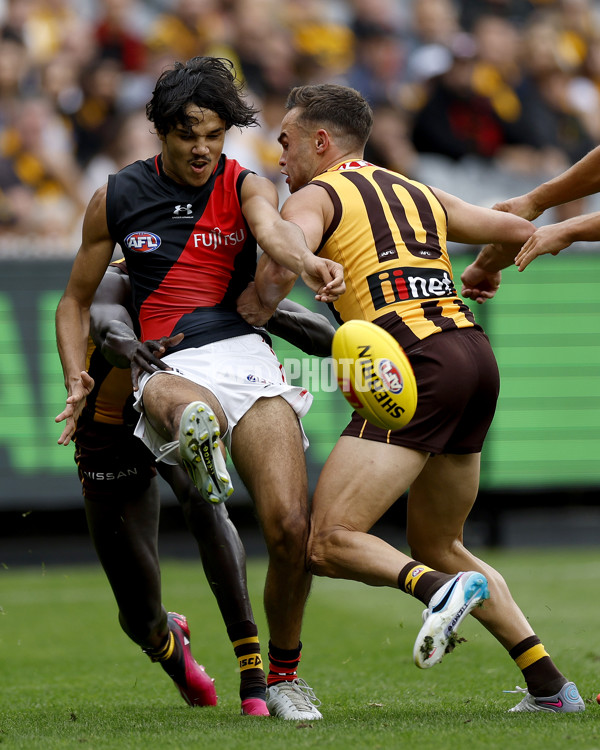 AFL Rd 1 - Hawthorn v Essendon - A-937115