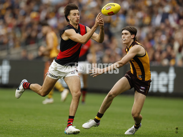 AFL Rd 1 - Hawthorn v Essendon - A-948007