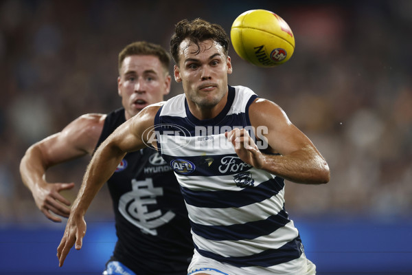 AFL Rd 2  - Carlton v Geelong - A-951323