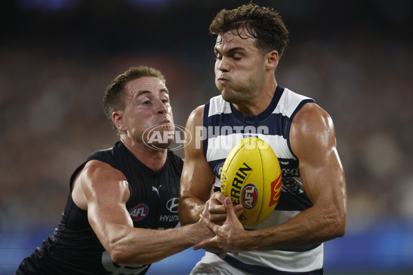 AFL Rd 2  - Carlton v Geelong - A-951324