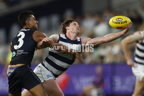 AFL Rd 2  - Carlton v Geelong - A-951346