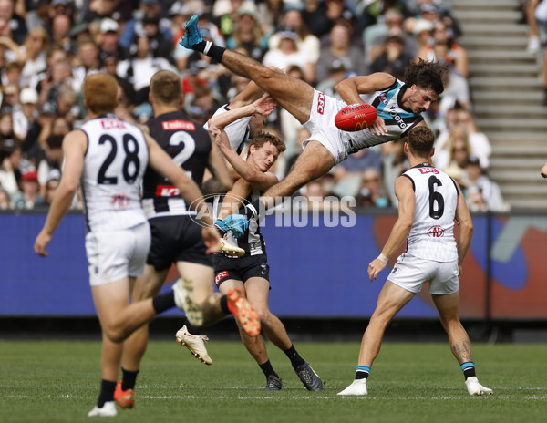 AFL Rd 2  - Collingwood v Port Adelaide - A-970869
