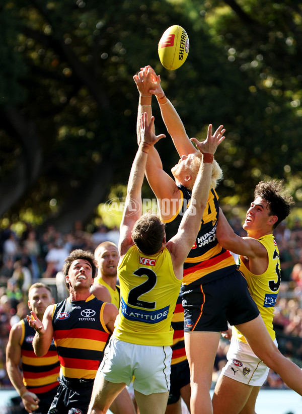 AFL Rd 2 - Adelaide v Richmond - A-973685