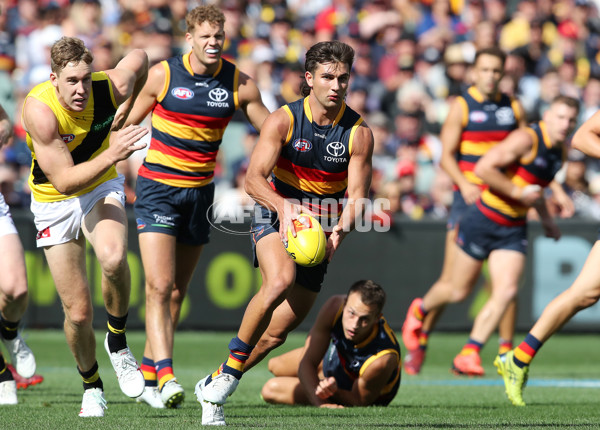 AFL Rd 2 - Adelaide v Richmond - A-973704