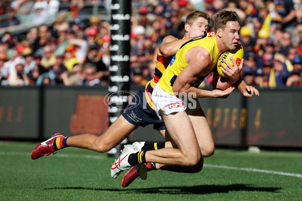 AFL Rd 2 - Adelaide v Richmond - A-973717