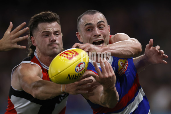 AFL Rd 2  - Western Bulldogs v St Kilda - A-982571