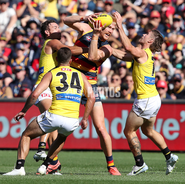 AFL Rd 2 - Adelaide v Richmond - A-985606