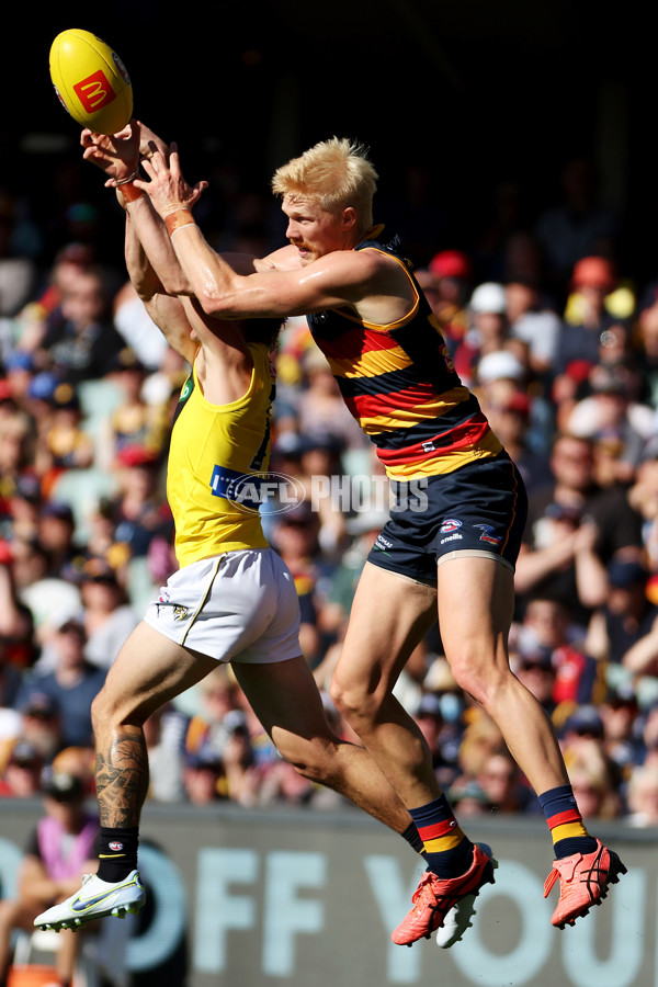 AFL Rd 2 - Adelaide v Richmond - A-988289