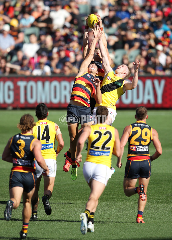 AFL Rd 2 - Adelaide v Richmond - A-988292