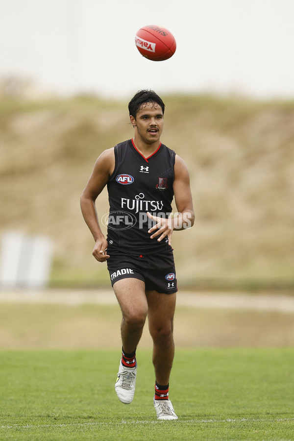 VFLW Rd 1 - Essendon v Box Hill Hawks - A-996684