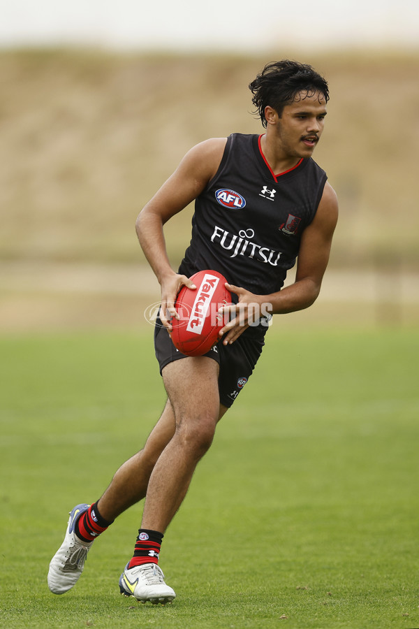 VFLW Rd 1 - Essendon v Box Hill Hawks - A-996685