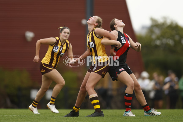 VFLW Rd 1 - Essendon v Box Hill Hawks - A-999214