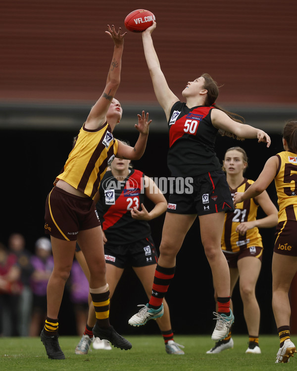 VFLW Rd 1 - Essendon v Box Hill Hawks - A-999604
